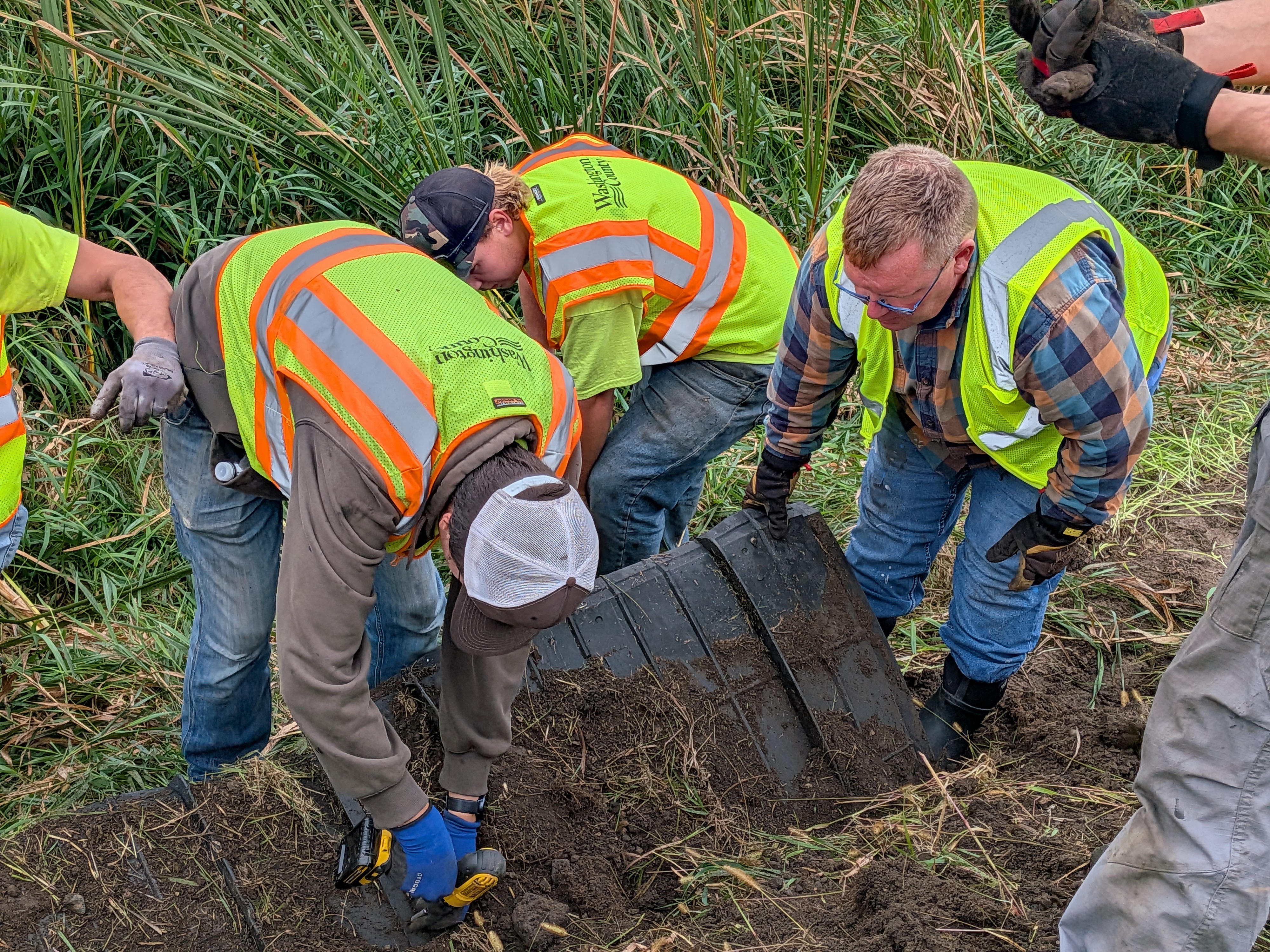Turtle Fencing In Washington County
