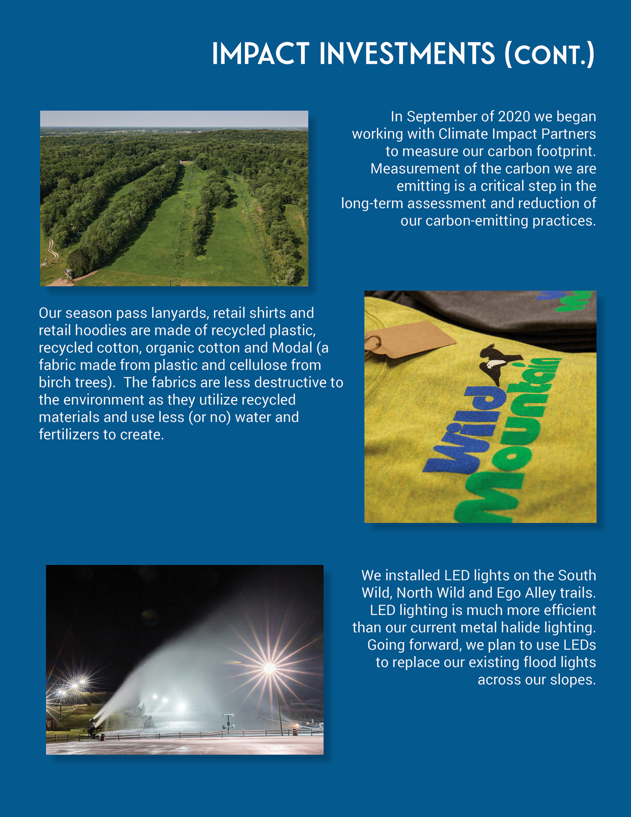 Impact Investments (continued)